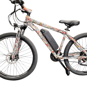 Hydro dipped Touroll Electric bi8ke